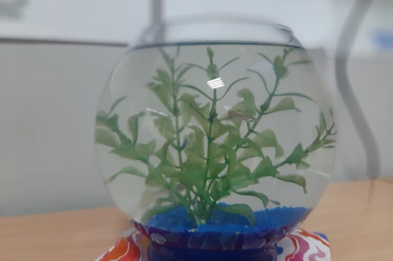 dedcccc4-70f4-4510-8d6c-8a7ca1c37402